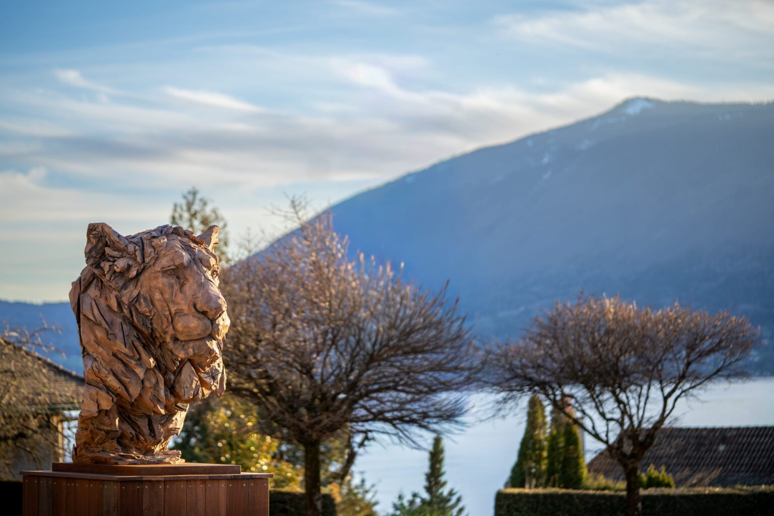 Grand buste de lion en résine de l’artiste Jürgen Lingl présent actuellement à Veyrier-du-Lac, près d’Annecy pour une exposition hors-les-murs.