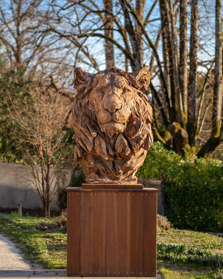 Grand buste de lion en résine de l’artiste Jürgen Lingl présent actuellement à Veyrier-du-Lac, près d’Annecy pour une exposition hors-les-murs.