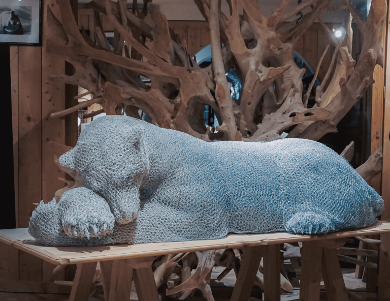 image de Aurélien Raynaud, ours polaire.
